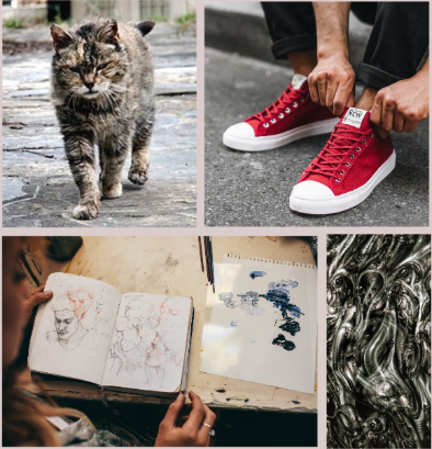 Koshka moodboard: a cat, a sketchbook, abstract/biomech-ish art, red sneakers.