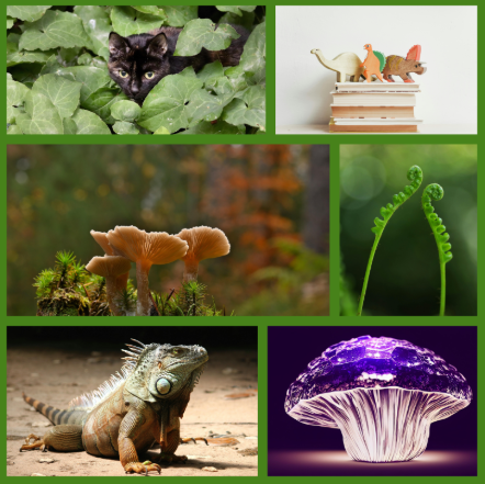 Lake moodboard: cats, greenery, mushrooms, an iguana, books with wooden dinosaur figures on top of them