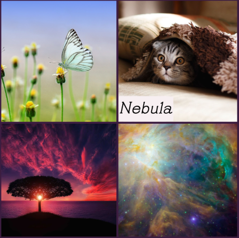 Nebula moodboard: a kitten under a blanket, a butterfly, an actual nebula, a tree at dusk
